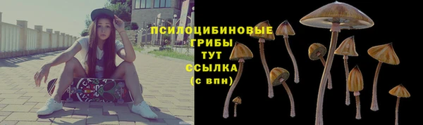 2c-b Алексин